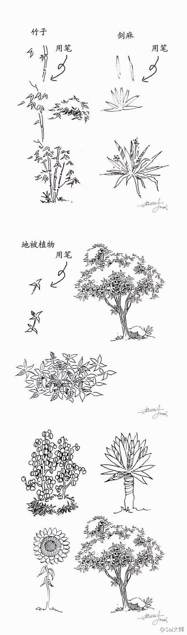 #绘画学习# 分享20种植物手绘速写技法，转给需要的伙伴们把~ # ​​​设计秀# ​​​​