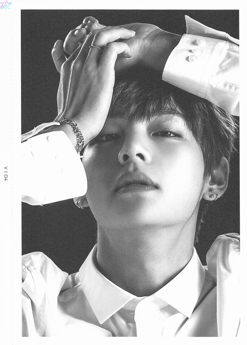 #金泰亨视觉狙击##金泰亨人类gucci# THE WINGS TOUR MD FACE PHOTO COLLECTION V SCAN [cr.love_as_hobby] 全视角完美