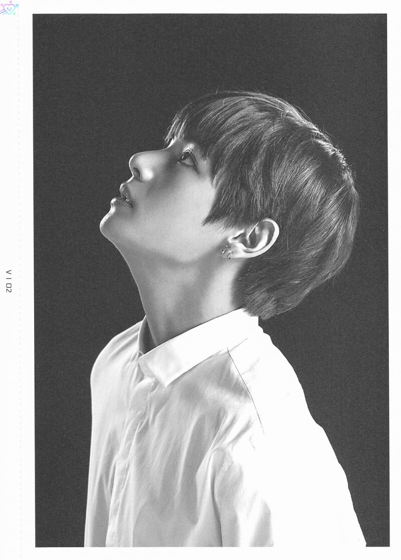 #金泰亨视觉狙击##金泰亨人类gucci# THE WINGS TOUR MD FACE PHOTO COLLECTION V SCAN [cr.love_as_hobby] 全视角完美