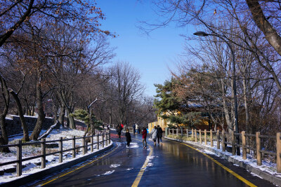 雪声簌簌，像住进深山，宁愿天天下雪，以为你是大雪阻道，而不能如约而至。