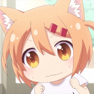 自截~猫咪日常