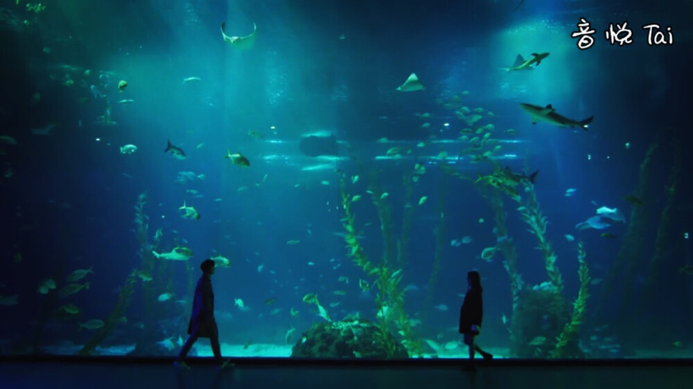 Me and You 深海水族馆