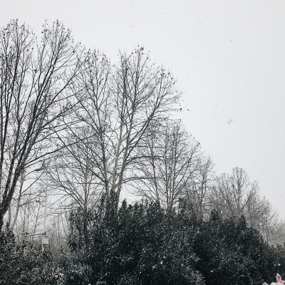 雪景