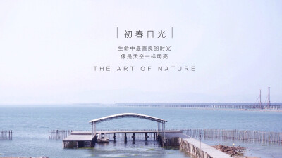 喜欢的时光总是弹指飞逝