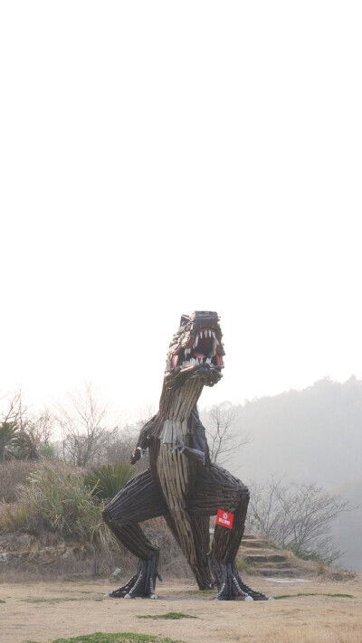 生活总是那么神奇
