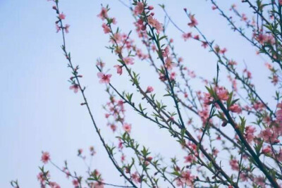 一见钟情的初见，一生相伴的终老