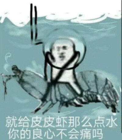 皮皮虾