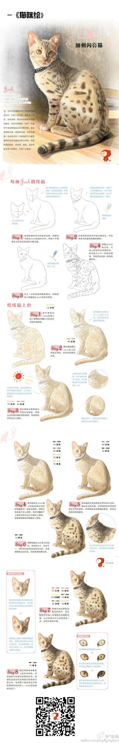 猫咪