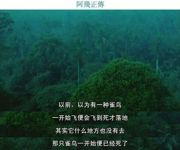 阿飞正传