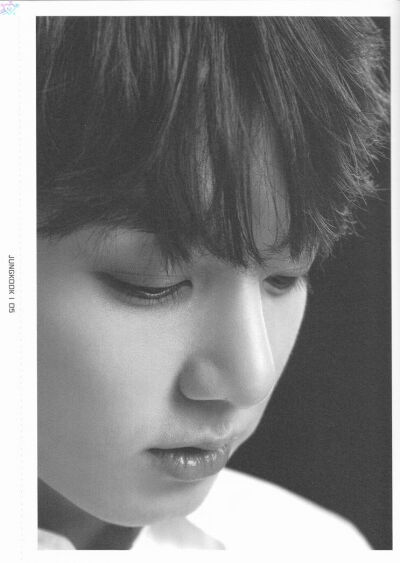 防弹少年团 2017 BTS LIVE TRILOGY EPISODE Ⅲ THE WING TOUR MD FACE PHOTO COLLECTION Jung kook SCAN