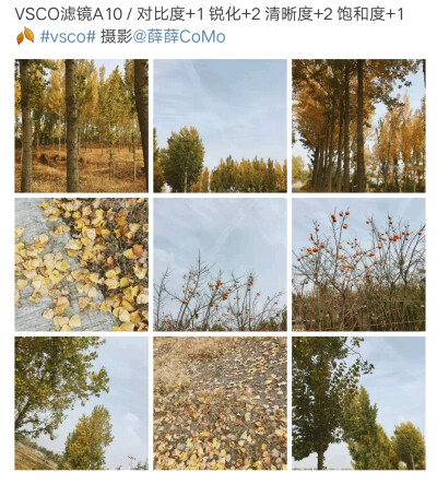 
大抵这世间春秋
也应当算得上是罕有
总的来讲
也及不过你一个念头
