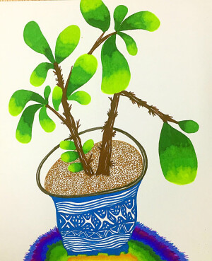植物