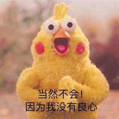 鹦鹉兄弟表情包