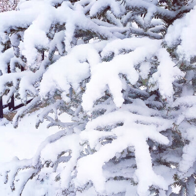 今天跟孩子们一起打了雪仗 ，下午讲了书。然后就没什么了，一天天的单调无聊又乏味。测评好像没有开始啊！