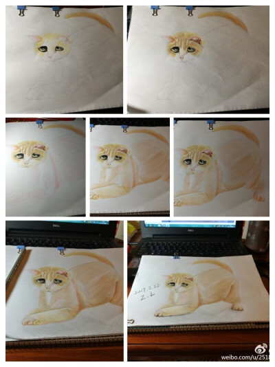 猫，萌宠，彩铅3d手绘，绘画教程，手工，艺术，绘画