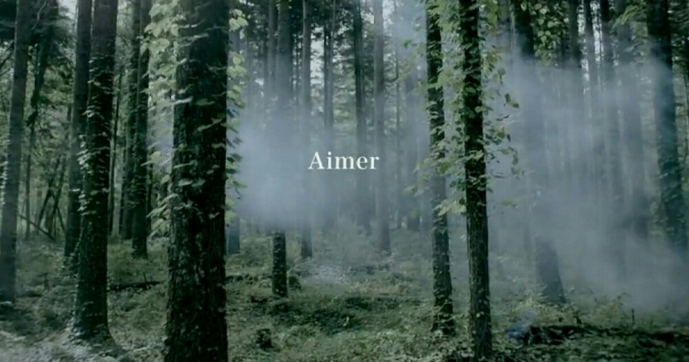 Aimer