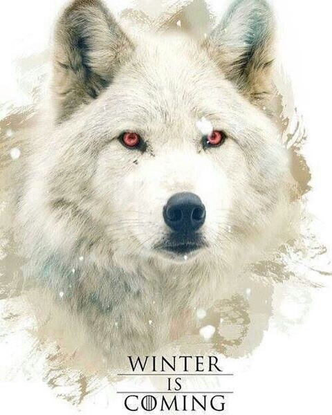 WINTER IS COMING 百灵 Ghost