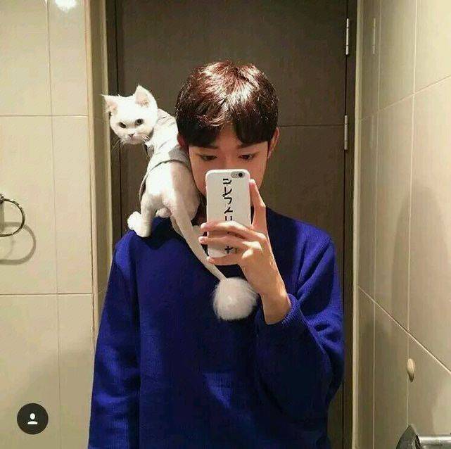 他的猫