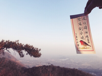 造化钟神秀 阴阳割昏晓