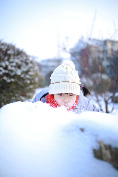 如梦春雪