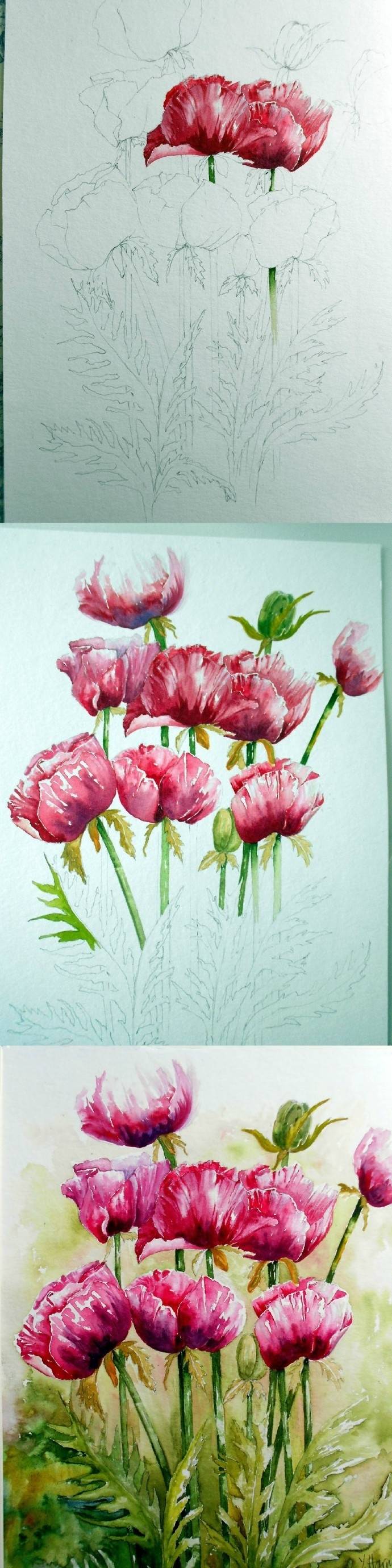 #设计小课堂#来自英国艺术家Yvonne Harry水彩花卉过程~ ​​​