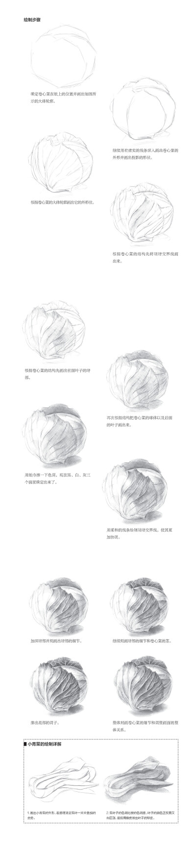 本案例摘自人民邮电出版社出版、爱林文化主编的《大家都能画：素描基础58课》http://product.dangdang.com/24143336.html