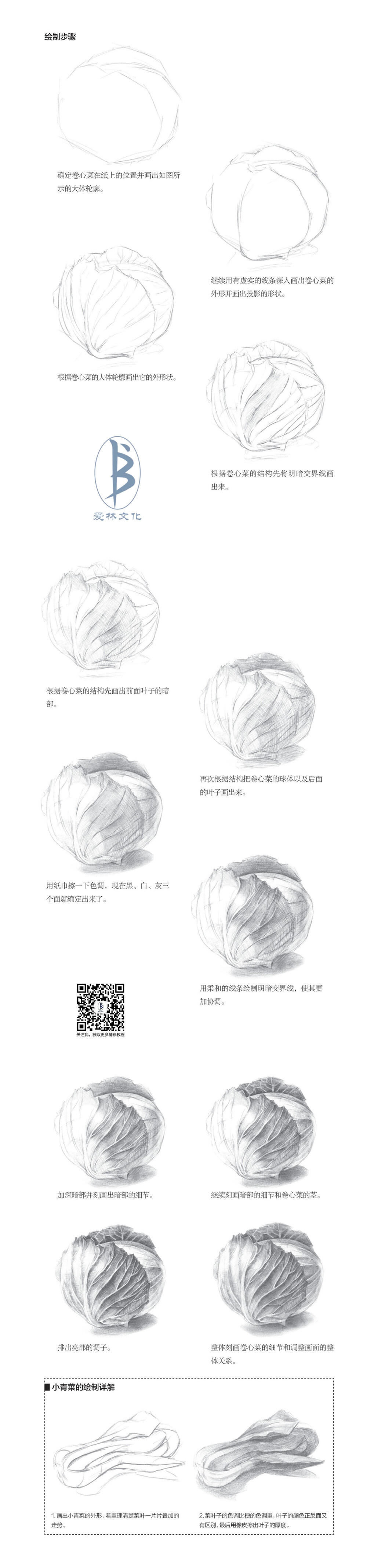 本案例摘自人民邮电出版社出版、爱林文化主编的《大家都能画：素描基础58课》。更多原创绘画教程和作品将在“爱林文化”公众号（aiibook）中长期分享！爱林博悦——只为悦读者！