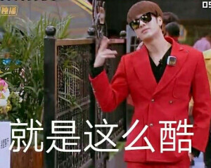 王嘎表情包 真爱粉可见