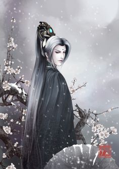 Snow and plum by hazhangzhong on devianart (霹雳 玄宗 墨尘音 赭杉军那口子...吧)