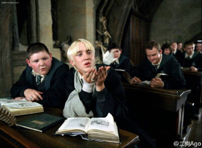 draco