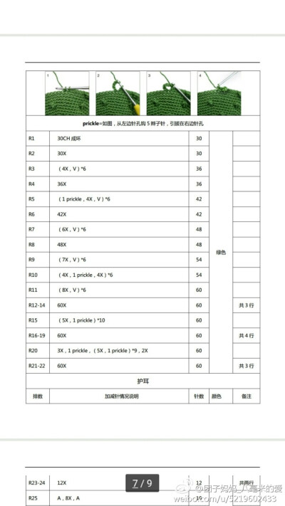 仙人掌拉拉-7