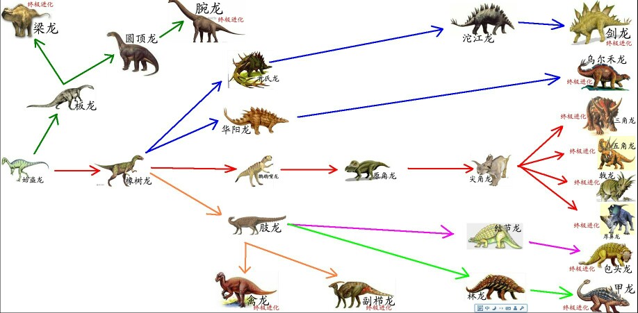 生物进化简图图片