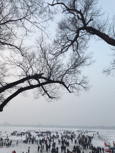 路过，松花江。