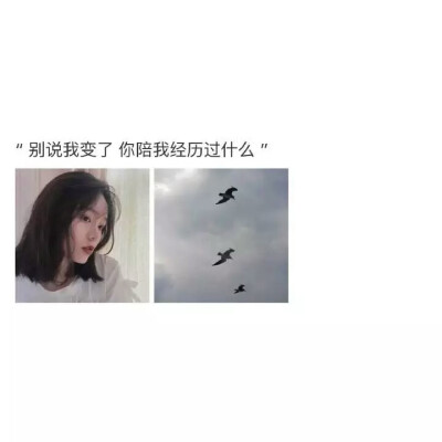 别说我变了 你陪我经历过什么