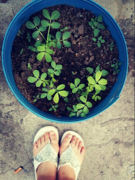 生命 壁纸 头像