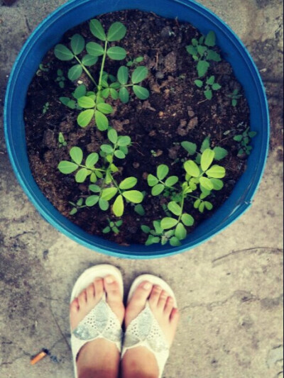 生命 壁纸 头像