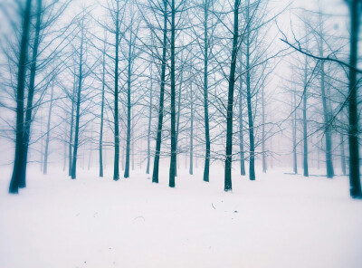 2017年一月初五的雪