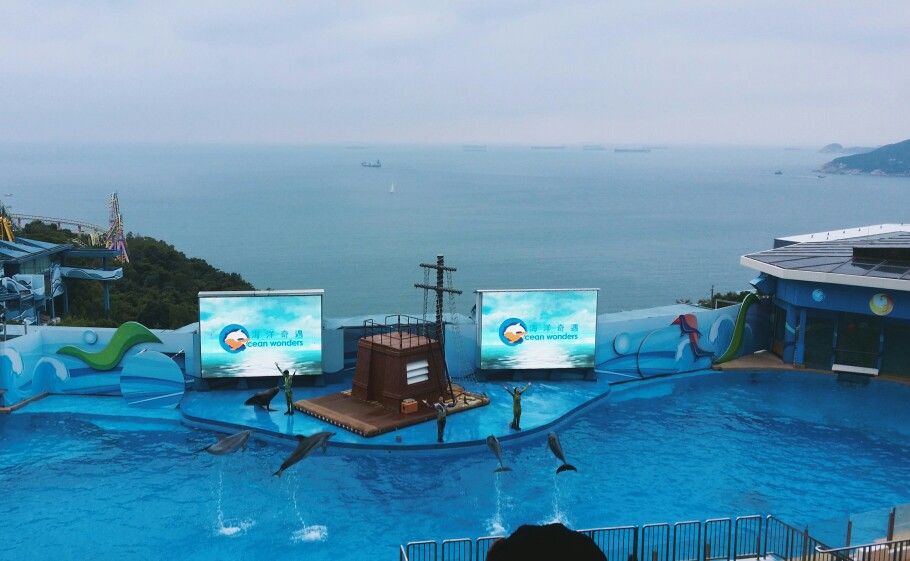 1.22 hong kong ocean park-the dolphins show