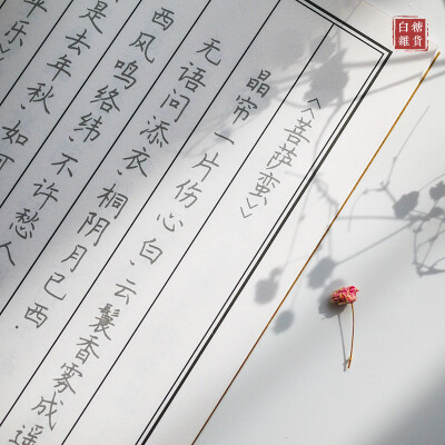 白糖杂货 纳兰词硬笔行楷字帖 我们总是高估自己的毅力