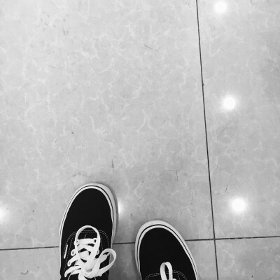 vans➰