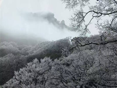 梵净山雪景