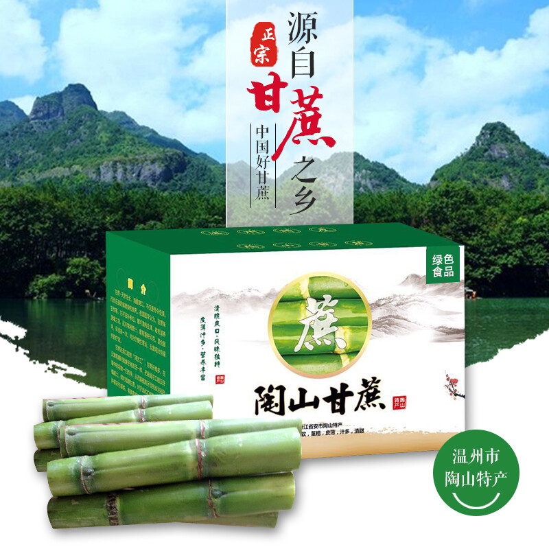 温州特产 正宗陶山甘蔗 个粗绿皮果蔗新鲜水果青皮陶山甘蔗礼盒装