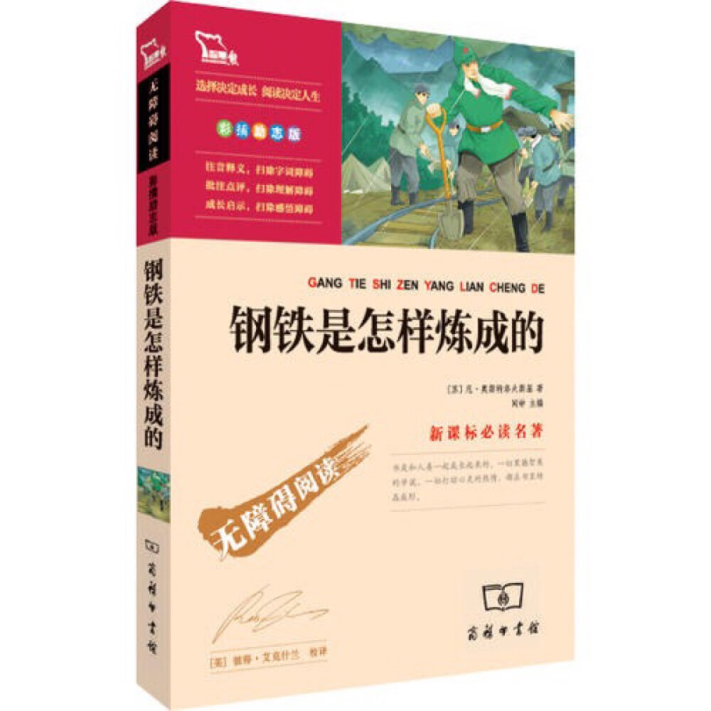 钢铁是怎样炼成的，通过对保尔•柯察金成长经历的叙述，生动地描述了以保尔为代表的一批进步青年历经艰辛的生活、战争的烽火以及战后建设的一系列磨炼，终于被锻造成无产阶级革命英雄的曲折过程，逼真地再现了苏联国内革命战争前后的社会特点和时代气氛，热情歌颂了为祖国而战的苏联年青一代的精神风貌。 