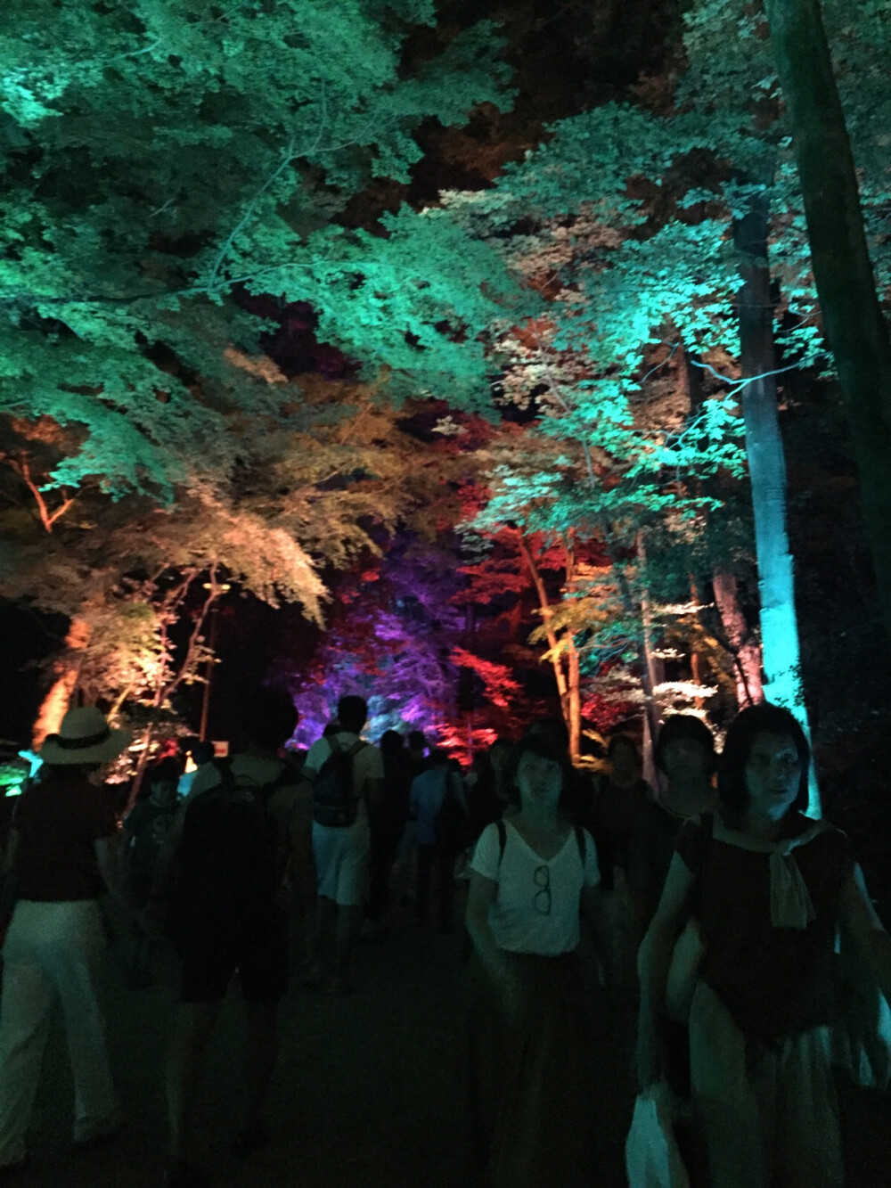 #京都# 下鸭神社 夏日灯光祭