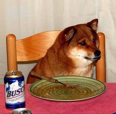 单身狗 警卫 