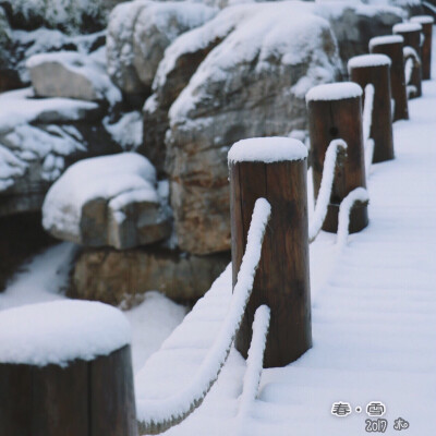 春雪@颜真卿公园