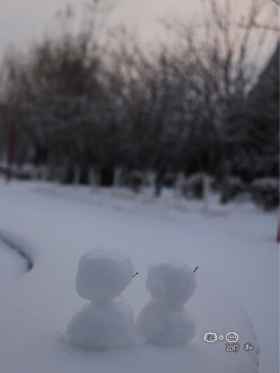 春雪@颜真卿公园