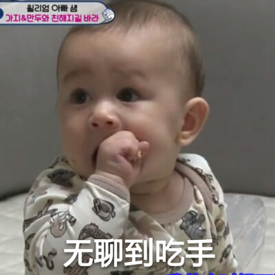 威廉 混血宝宝 超人回来了 sam