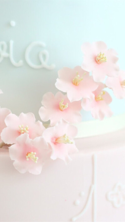 粉色 花 壁纸 喜欢收藏+关注 谢谢