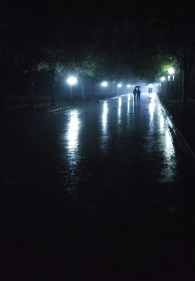 英才大道雨夜·秋